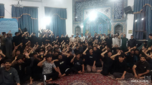 پذیرایی و اسکان 300 زائر پیاده عراقی حرم امام رضا (ع) در خراسان شمالی