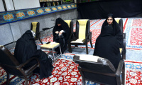 مشاهده DSC_8087.jpg