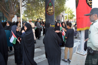 مشاهده DSC_8506.jpg