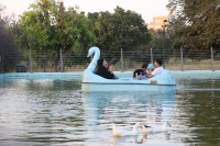 مشاهده IMG_0240.JPG