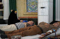 مشاهده DSC02179.JPG