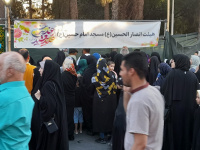 مشاهده photo12210934290.jpg