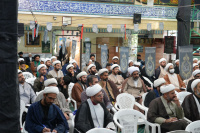 مشاهده DSC07995.jpg
