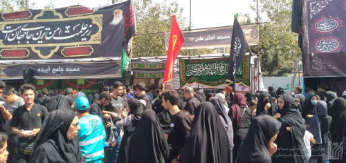 گزارش تصویری فعالیت مواکب در راهپیمایی جاماندگان اربعین مشهد (14)	