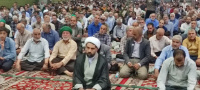 مشاهده photo13482918772.jpg