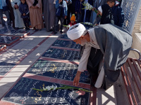 مشاهده IMG_20231116_094535.jpg