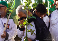 مشاهده 4387586.jpg