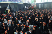 مشاهده DSC_7527.jpg