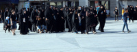 مشاهده DSC_5471.jpg