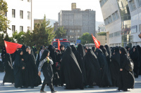 مشاهده DSC_5598.jpg