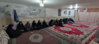 مشاهده photo11597221561.jpg