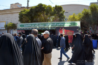 مشاهده DSC_8802.jpg