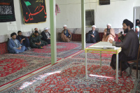 مشاهده DSC_7697.jpg