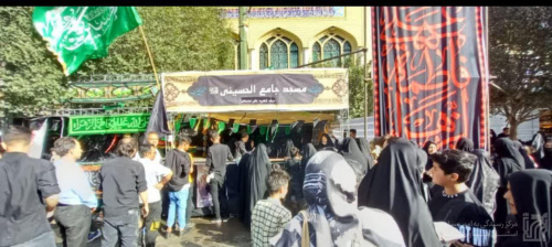 گزارش تصویری فعالیت مواکب در راهپیمایی جاماندگان اربعین مشهد (11)