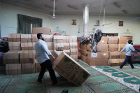 مشاهده DSC06397.JPG