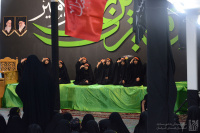 مشاهده DSC_7436.jpg