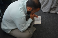 مشاهده DSC_3210.jpg
