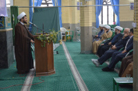 مشاهده DSC_7275.jpg