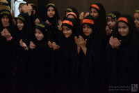 مشاهده DSC_7496.jpg