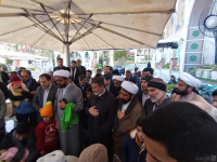 مشاهده IMG_20231116_083445.jpg
