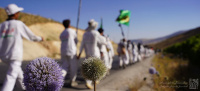 مشاهده 4387594.jpg