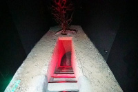 مشاهده 4278351.jpg