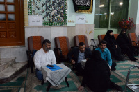مشاهده DSC_8212.jpg