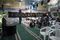 مشاهده DSC07921.jpg