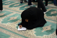 مشاهده DSC_8253.jpg