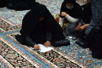 مشاهده DSC_6654.jpg