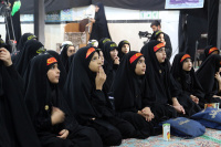 مشاهده 0K6A9781.jpg