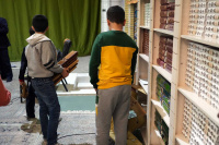 مشاهده DSC02183.JPG