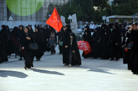 مشاهده DSC_5593.jpg