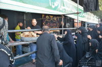 مشاهده DSC_8551.jpg