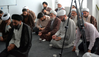 مشاهده DSC_3325.jpg