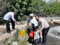 مشاهده photo_2023-07-18_10-01-23.jpg