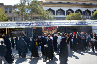 مشاهده DSC_8675.jpg