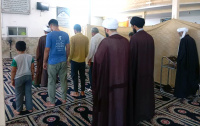 مشاهده photo_2024-06-01_18-21-24.jpg