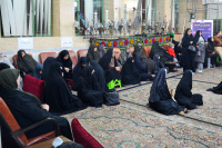 مشاهده DSC_3718.JPG