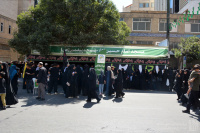 مشاهده DSC_8811.jpg