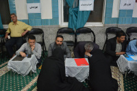 مشاهده DSC_9495.jpg