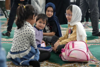 مشاهده DSC02764.JPG