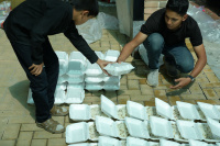 مشاهده DSC02964.jpg