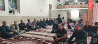 مشاهده photo11597221191.jpg